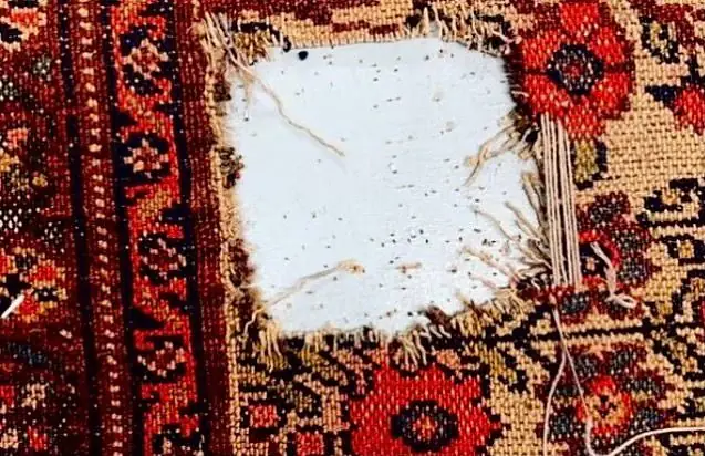 Zone de trame neuve posée sur un tapis rouge avant le nouage de la laine